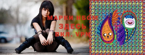прущие грибы Алексин
